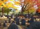 Main Street Cemetery, Concord, Middlesex, Massachusetts, USA