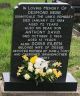Grave of Desmond Rhys Thomas Bebb