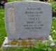 Grave of Elizabeth Edith Violet Horler (nee Golledge)