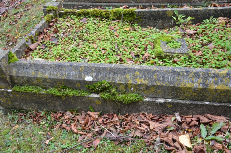 Grave_Reginald_Herbert_Burge