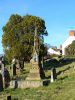 Stroud Cemetery, Stroud, Gloucestershire, England, UK