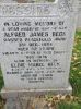 Grave of Alfred James Beck