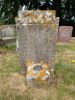 Grave of Arthur Edwin Chard