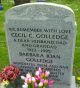 Grave of Barbara Joan Golledge (nee James)