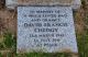 Grave of David Francis Chedgy