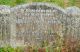 Grave of James Horler