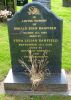 Grave of Ronald Evan Banfield